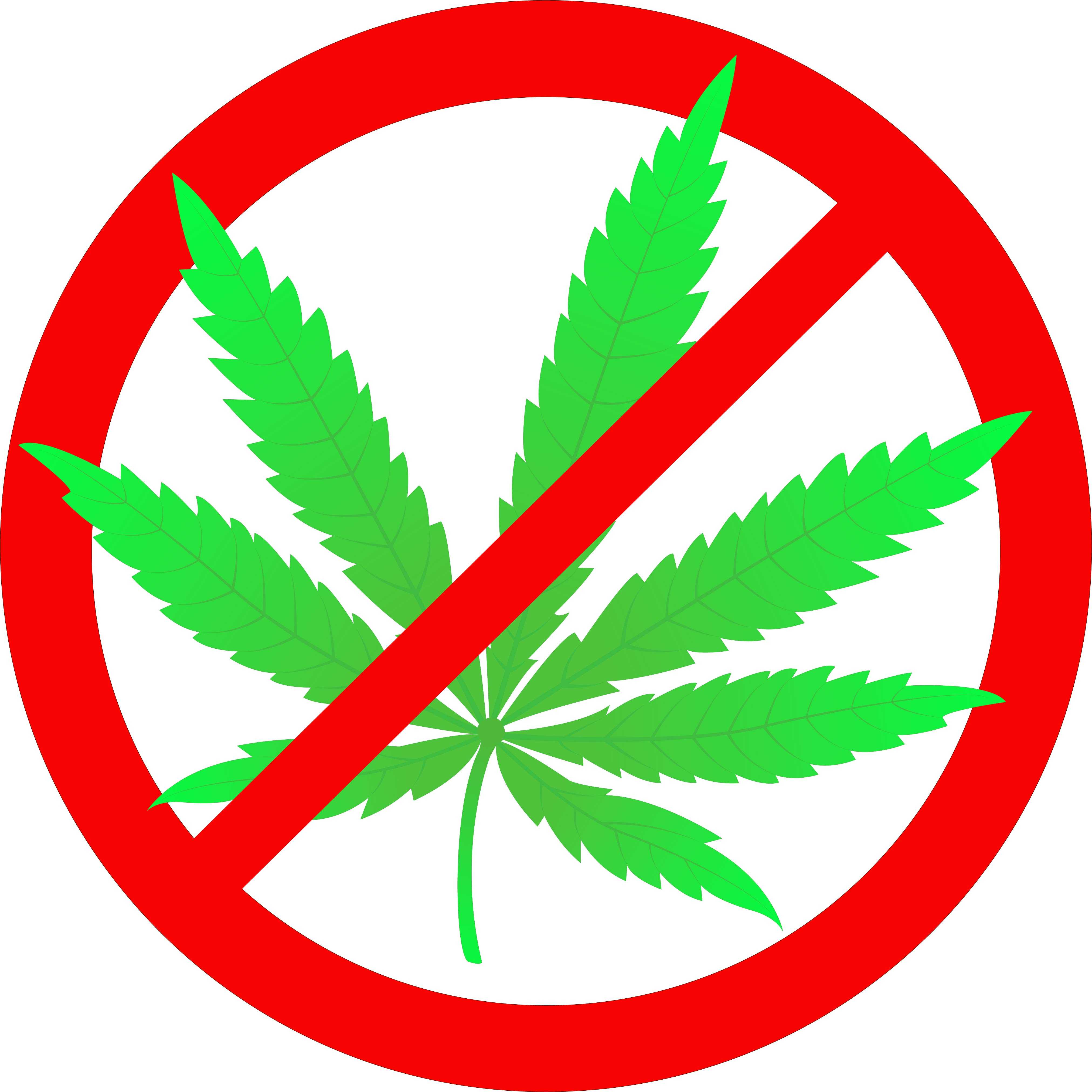 Марихуана для профилактики некроз листьев марихуаны