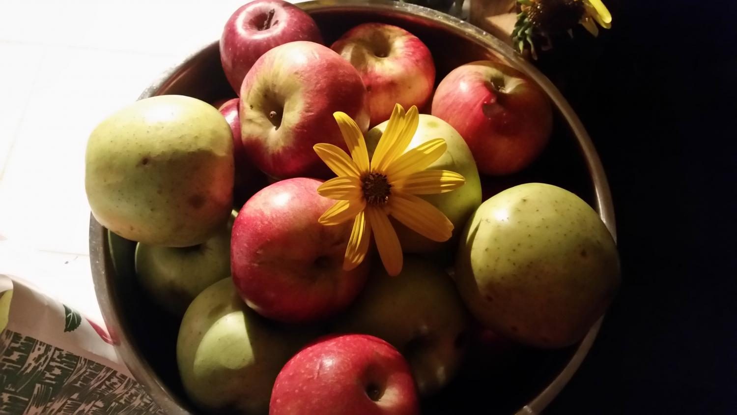 A Bushel and a Peck: Local Apple Picking Hotspots