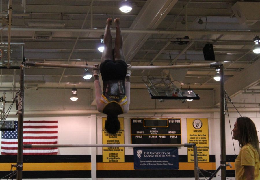 gymnastics_nicolebrewton18+copy